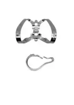 Ivory Clamp Labial Winged