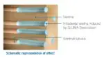 Kulzer Gluma Desensitiser 1 x 5ml - Image 2