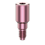 TL 2.9 H4 Healing Abutments