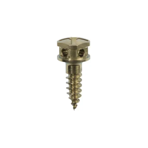 Orthodontic Screws 2.0 - Image 1