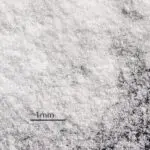 Mectron Sensitive Powder