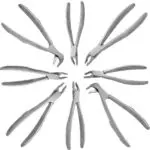 Devemed Gentle Extraction Forceps Standard