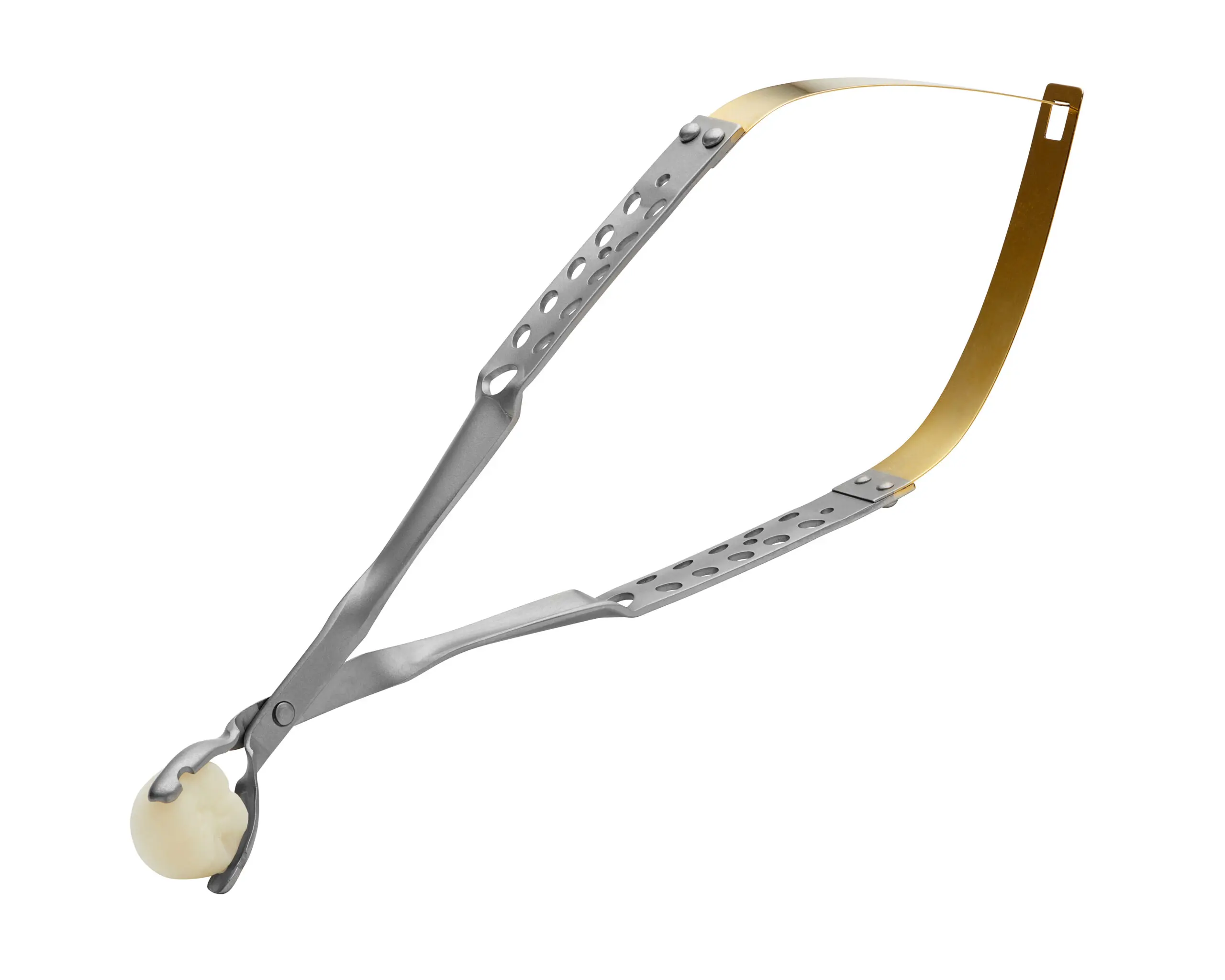 Stacked from 10 images. Method=B (R=8,S=4) Laschal Crown Removal Forceps - Image 1